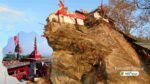 Maa Dhari Devi Temple — Perspective 2